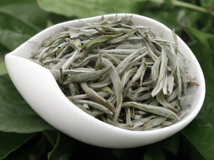 Shape of Baekho Silver Needle Tea